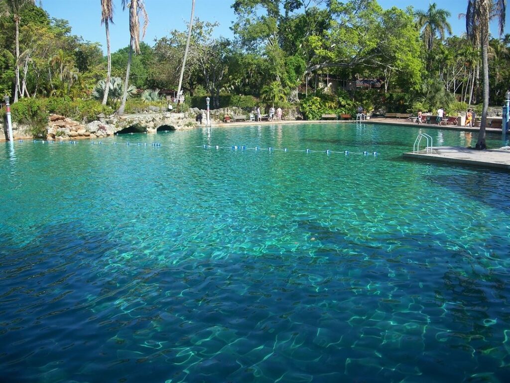 the historic venetian pool is a fun thing to do