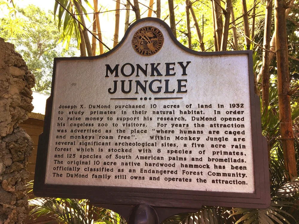 visiting monkey jungle in miami fl and what to expect